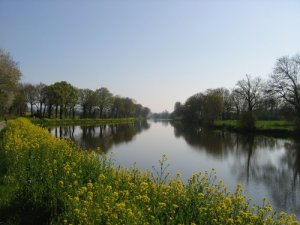 River Vilaine at Messac